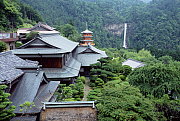 � Cameron Hansen/naturepl.com 
Naichi shrine, Wakayama, Japan