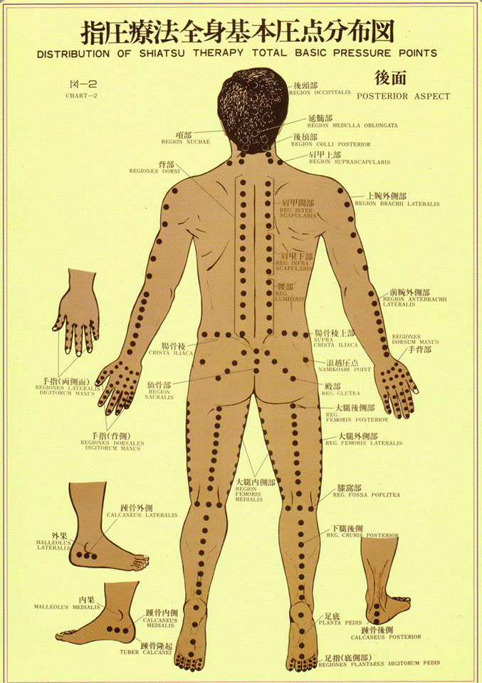 Shiatsu-effects-terapeutico