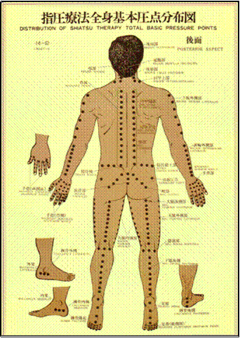 shiatsu-prono